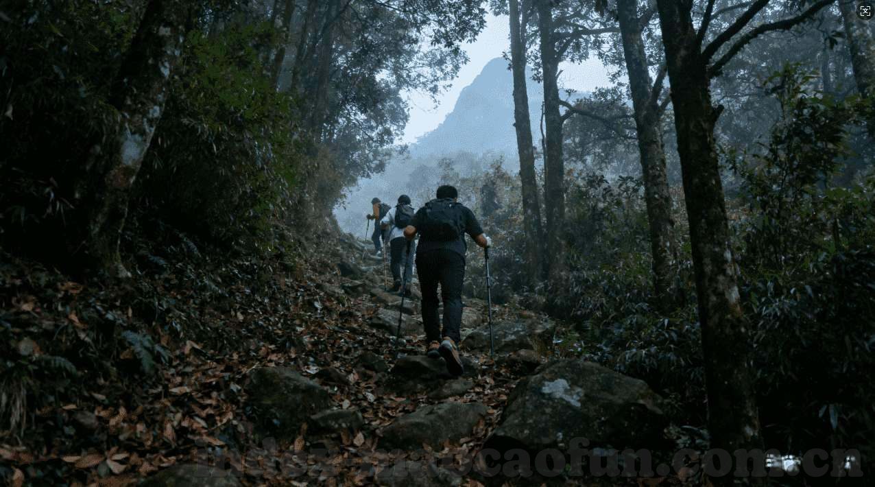 世界杯瑞士哥塞尔维亚-瑞士与塞尔维亚，世界杯舞台上的坚韧对决